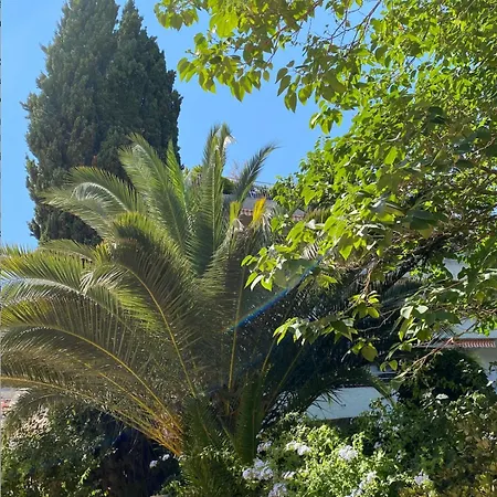 4 P Avec Grande Terrasse, Piscine, Parking Dans Tropez Centre Lägenhet *